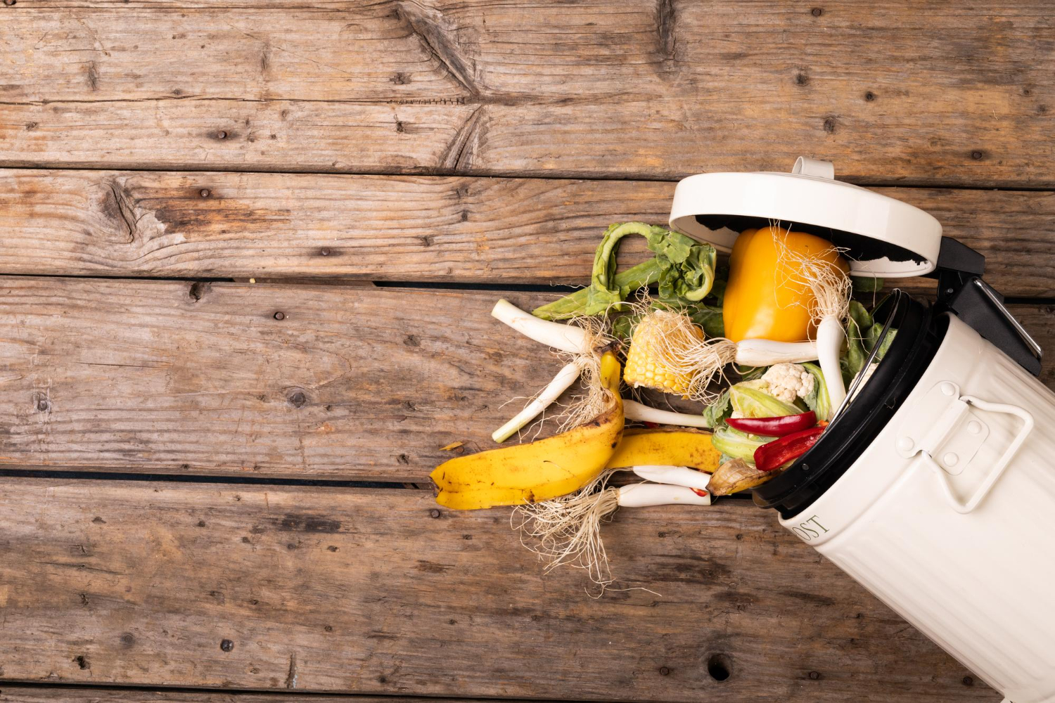 My Real-Life Hacks for Hiding Compost Bin Eyesores in Any Yard