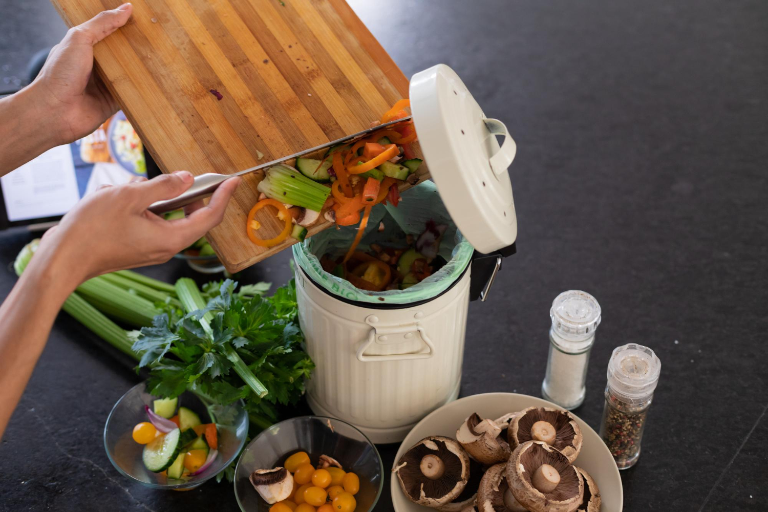 My Go-To Compost Bin Kitchen Setup That Finally Stopped the Smells and Flies