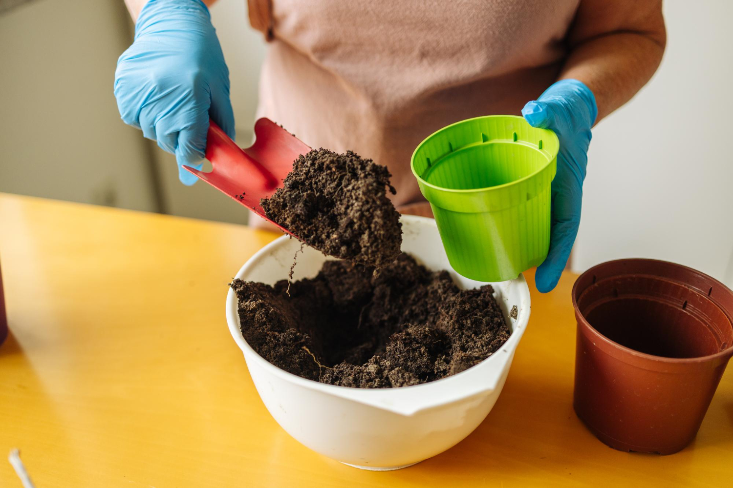How I Turned Dead Dirt into Living Compost Soil That Supercharges Every Plant I Grow