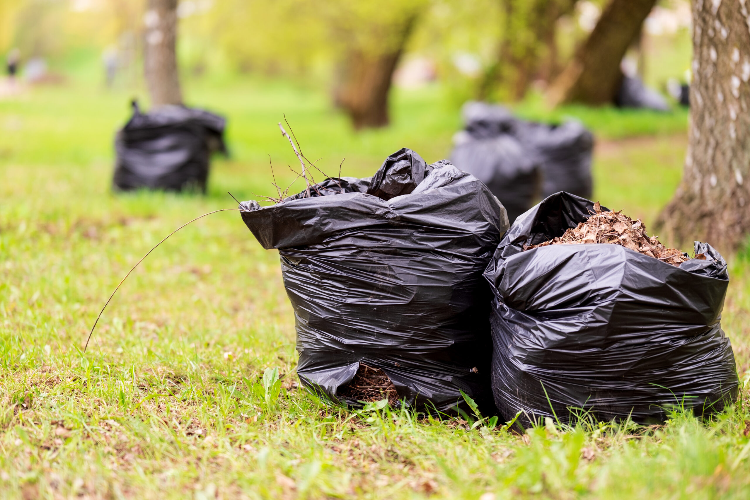 Compost Bags That Actually Work: My Messy, Honest Year of Trial and Error
