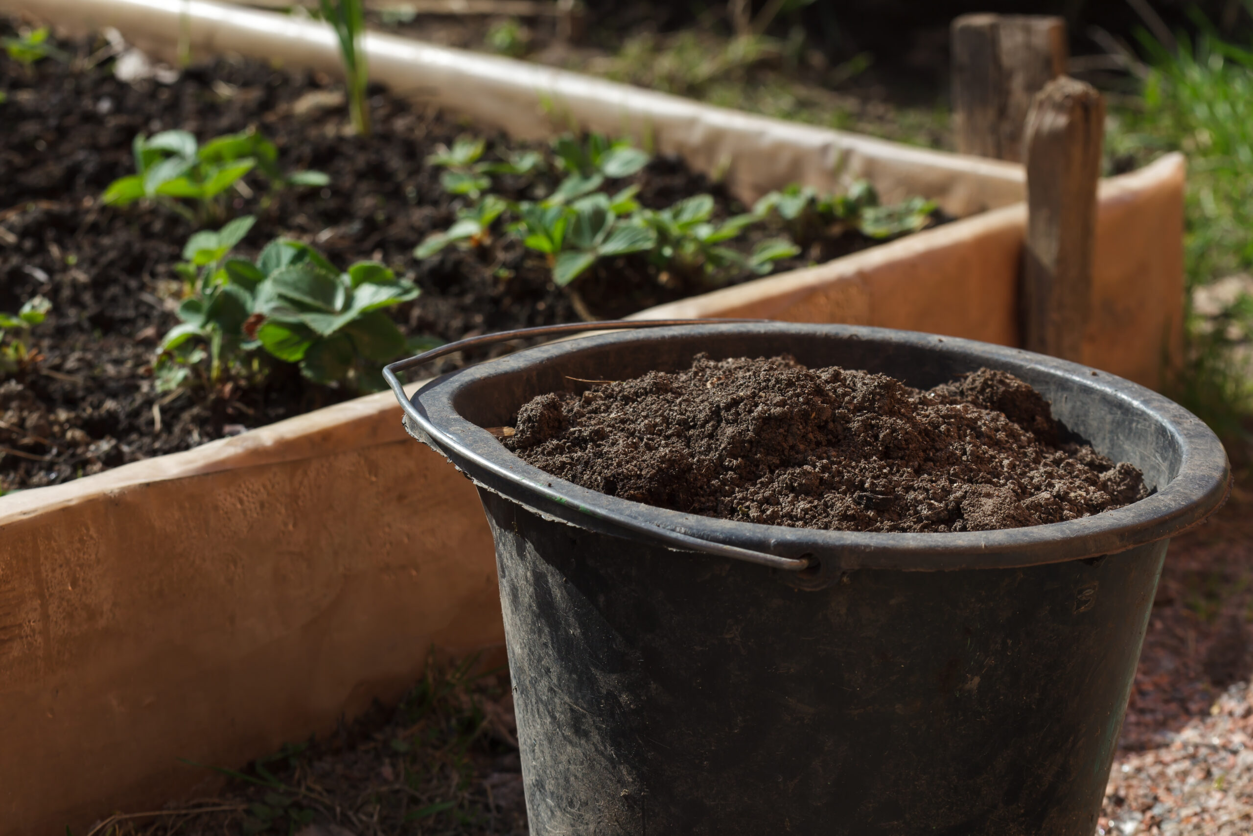 Making Compost for Garden Beds: My Simple Backyard Method That Actually Works