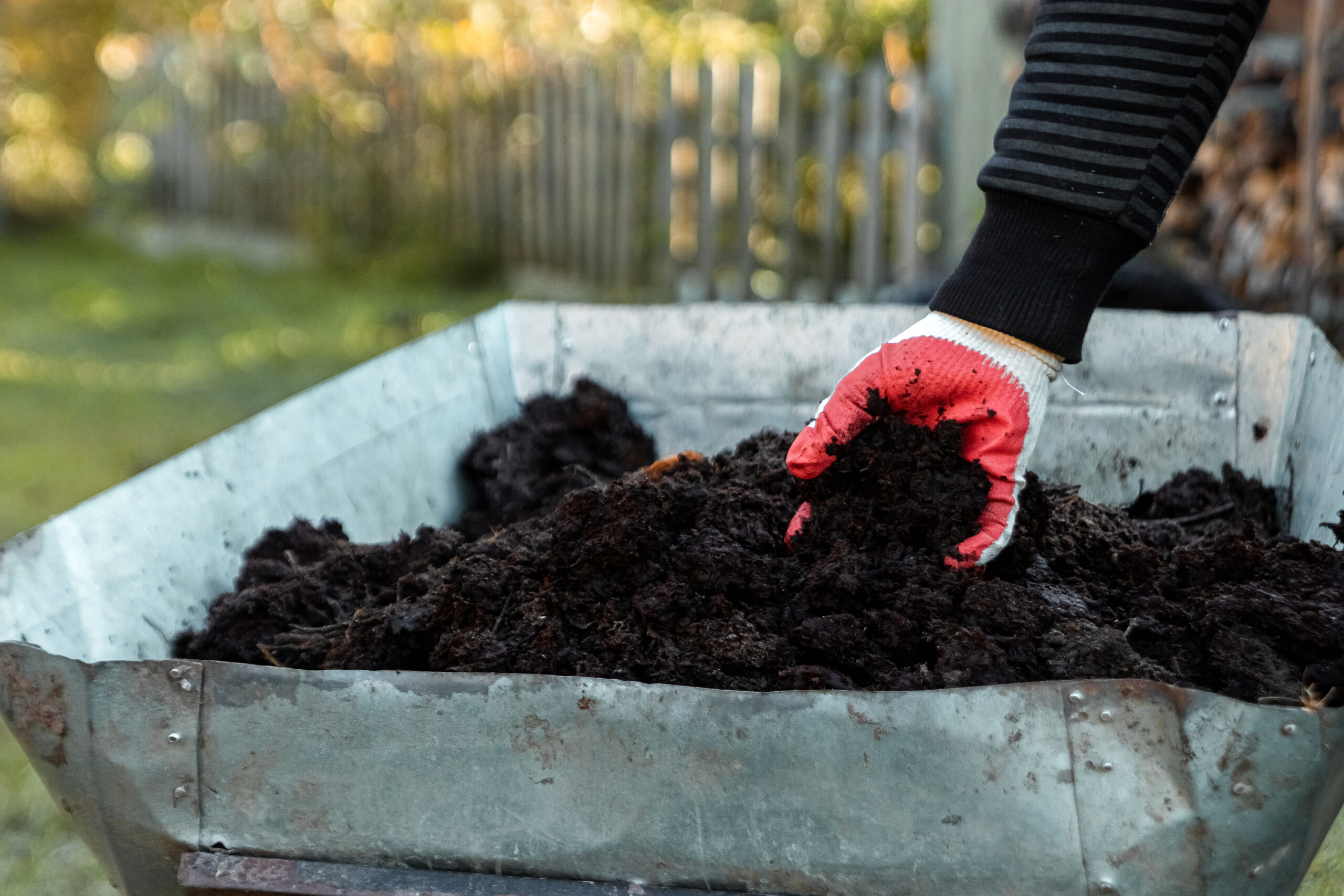 Compost Fertilizer Changed My Garden Forever: Here’s Exactly How I Make and Use It