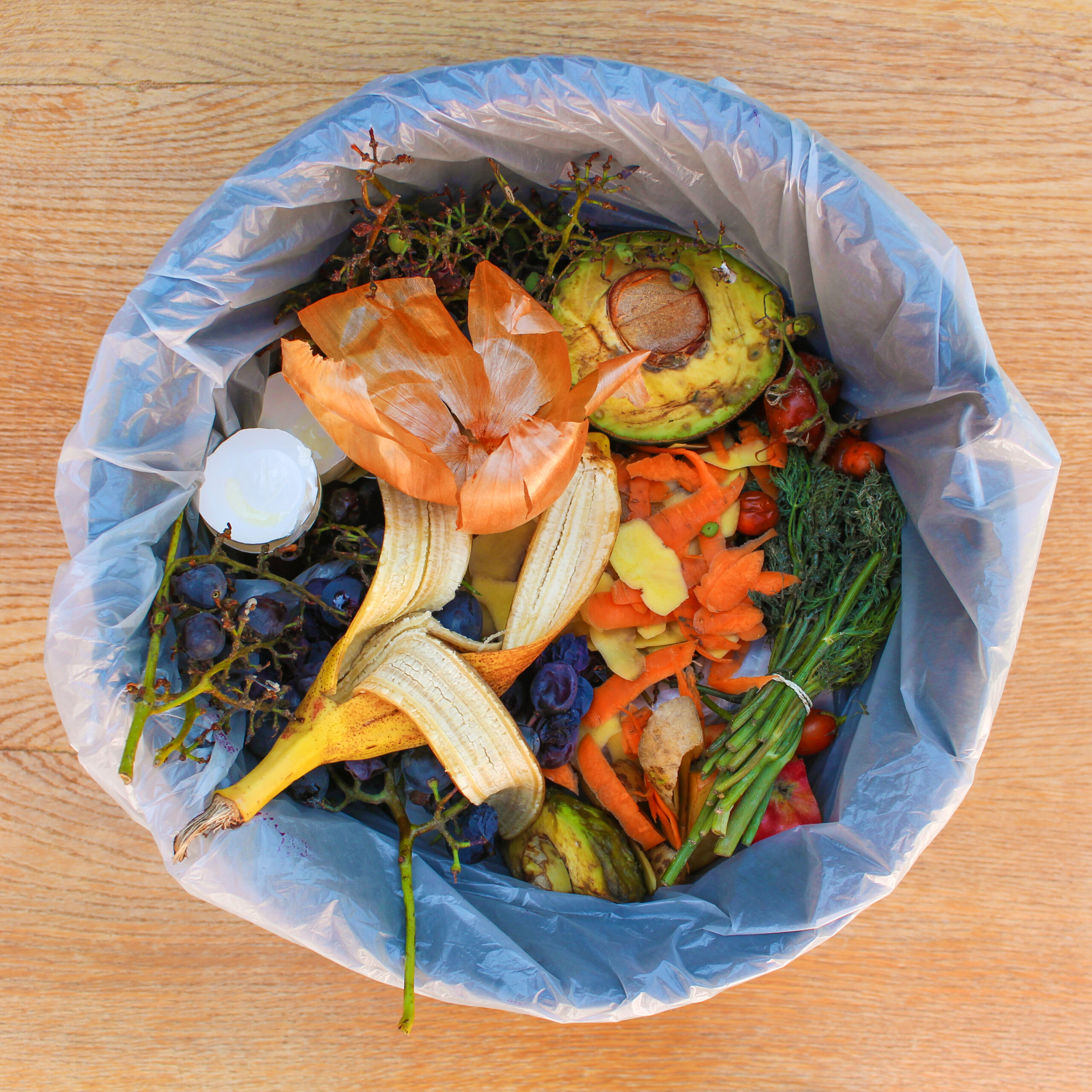 How to Build a Compost Bin That Actually Works: My Simple DIY Guide from Scratch