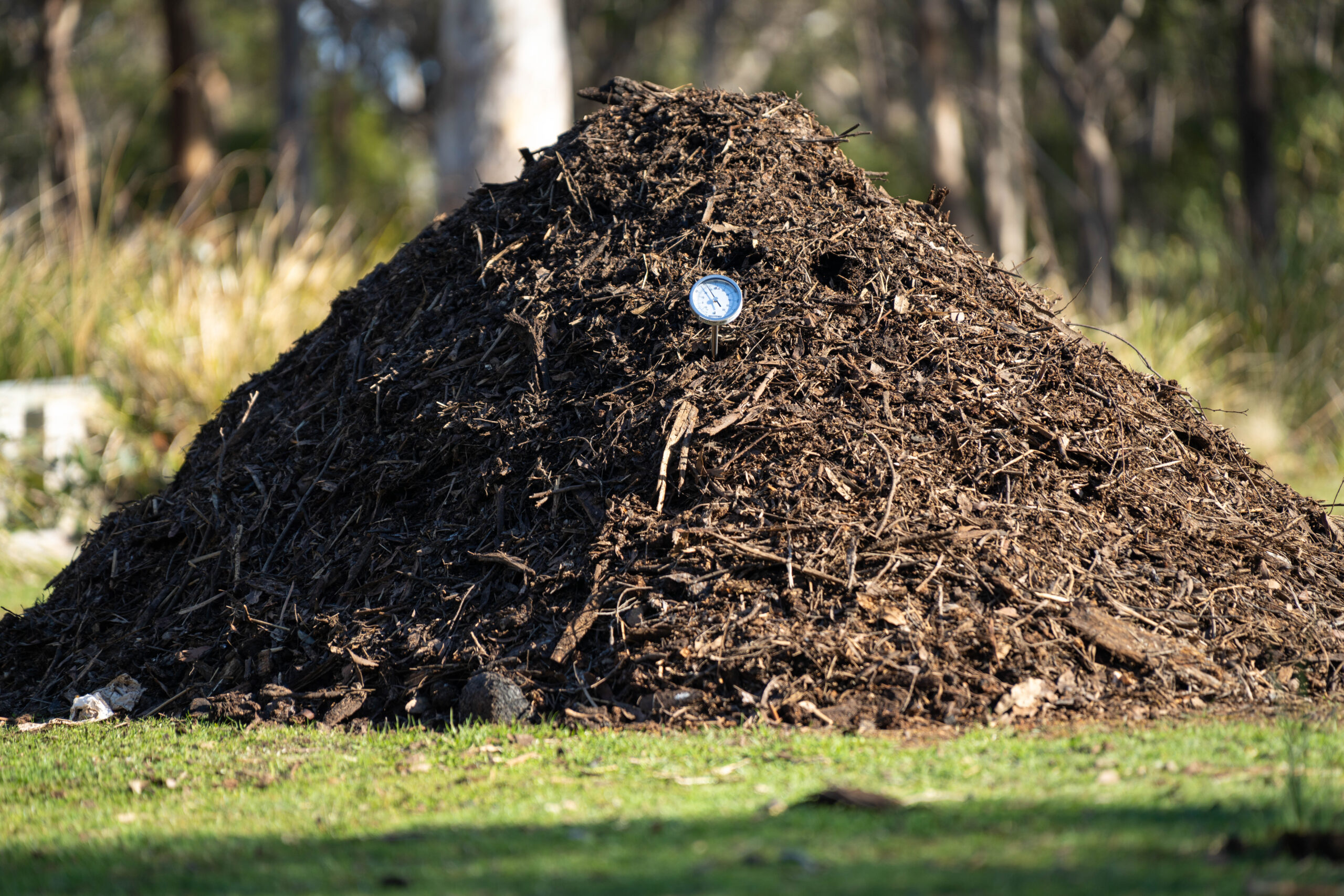 How I Finally Nailed Starting a Compost Pile Without the Stink or the Stress
