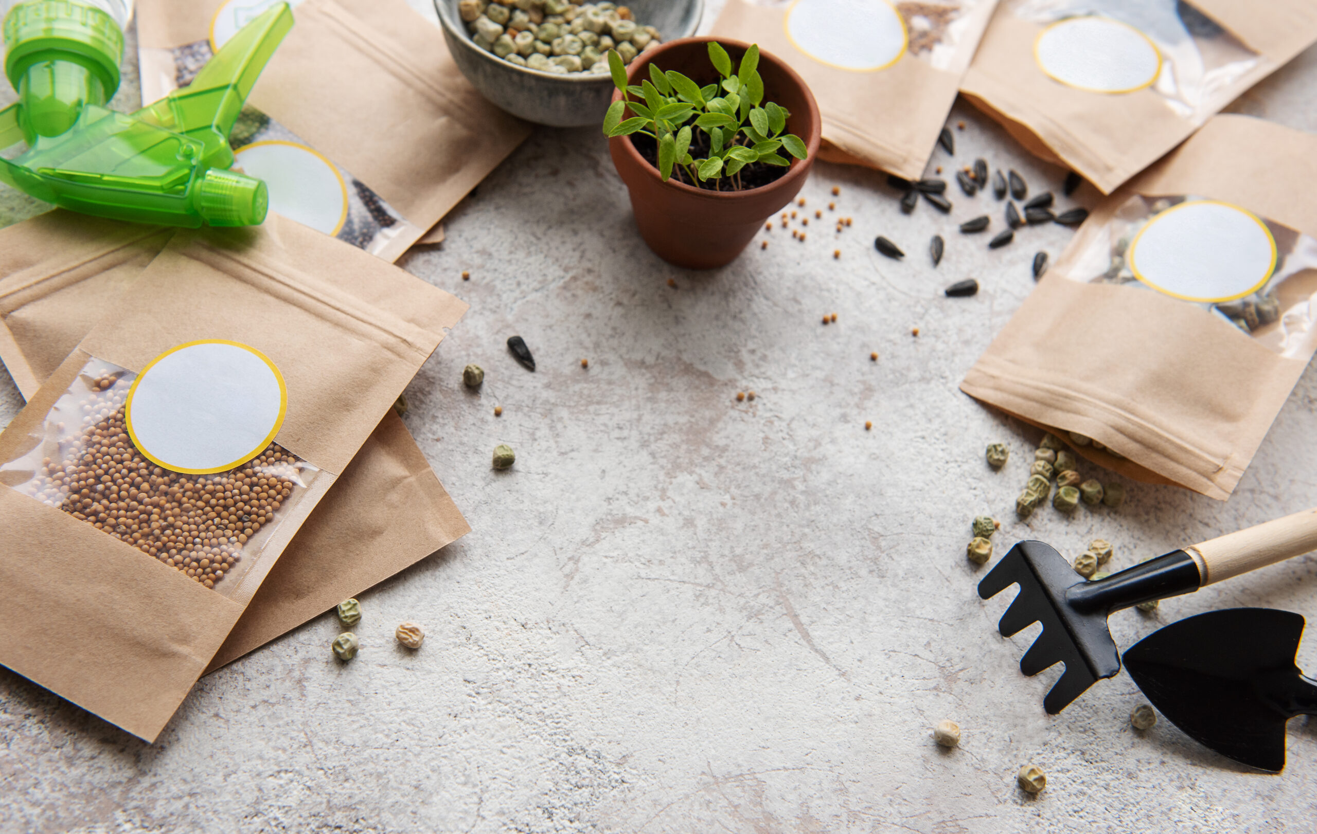 Compost Packaging: How I Made the Switch and Why It Stuck