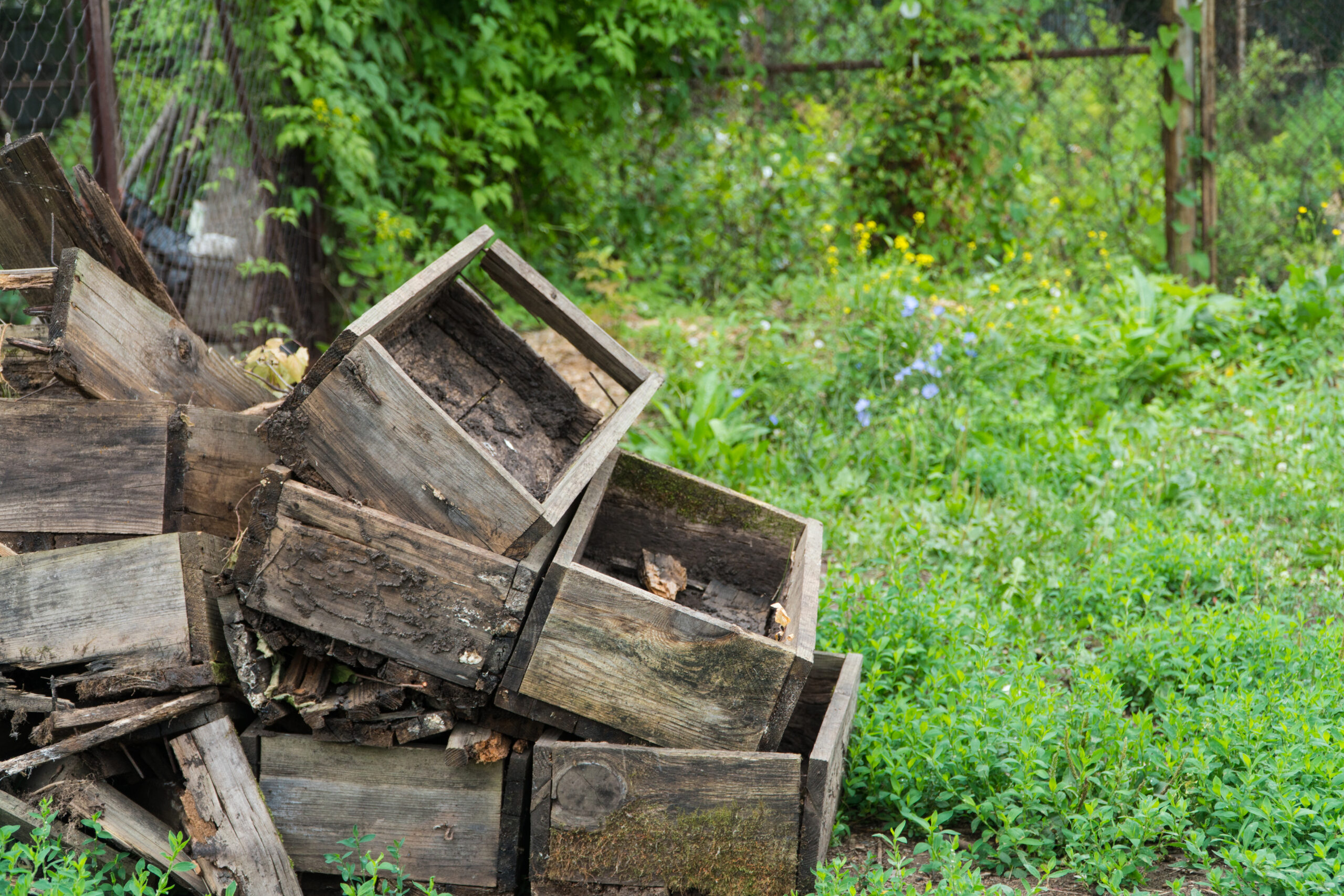 How I Built My DIY Pallet Compost Bin for Free (And Turned Yard Waste Into Garden Gold)