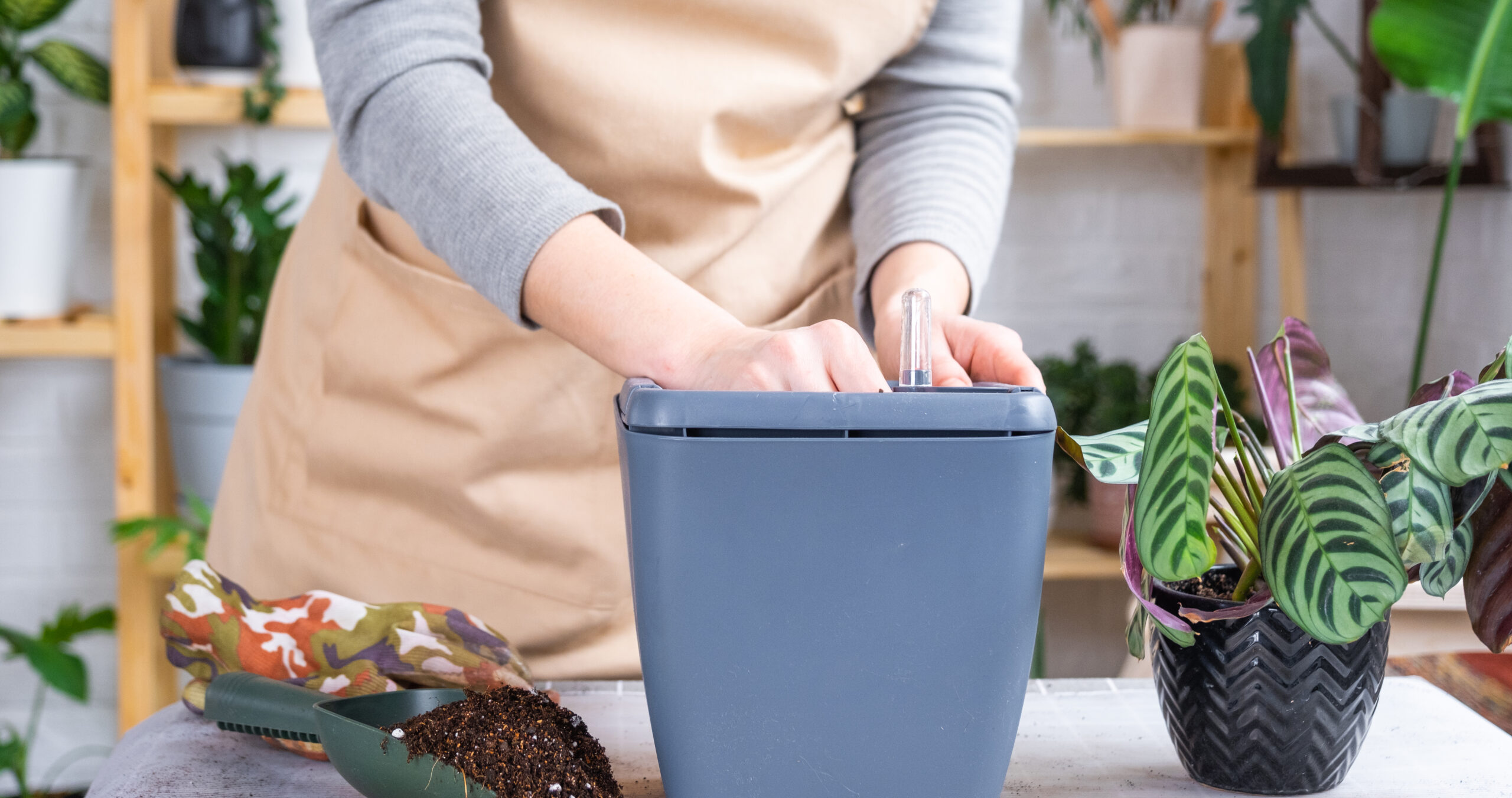How I Built a Simple DIY Compost Bin Indoor That Actually Works in My Tiny Apartment
