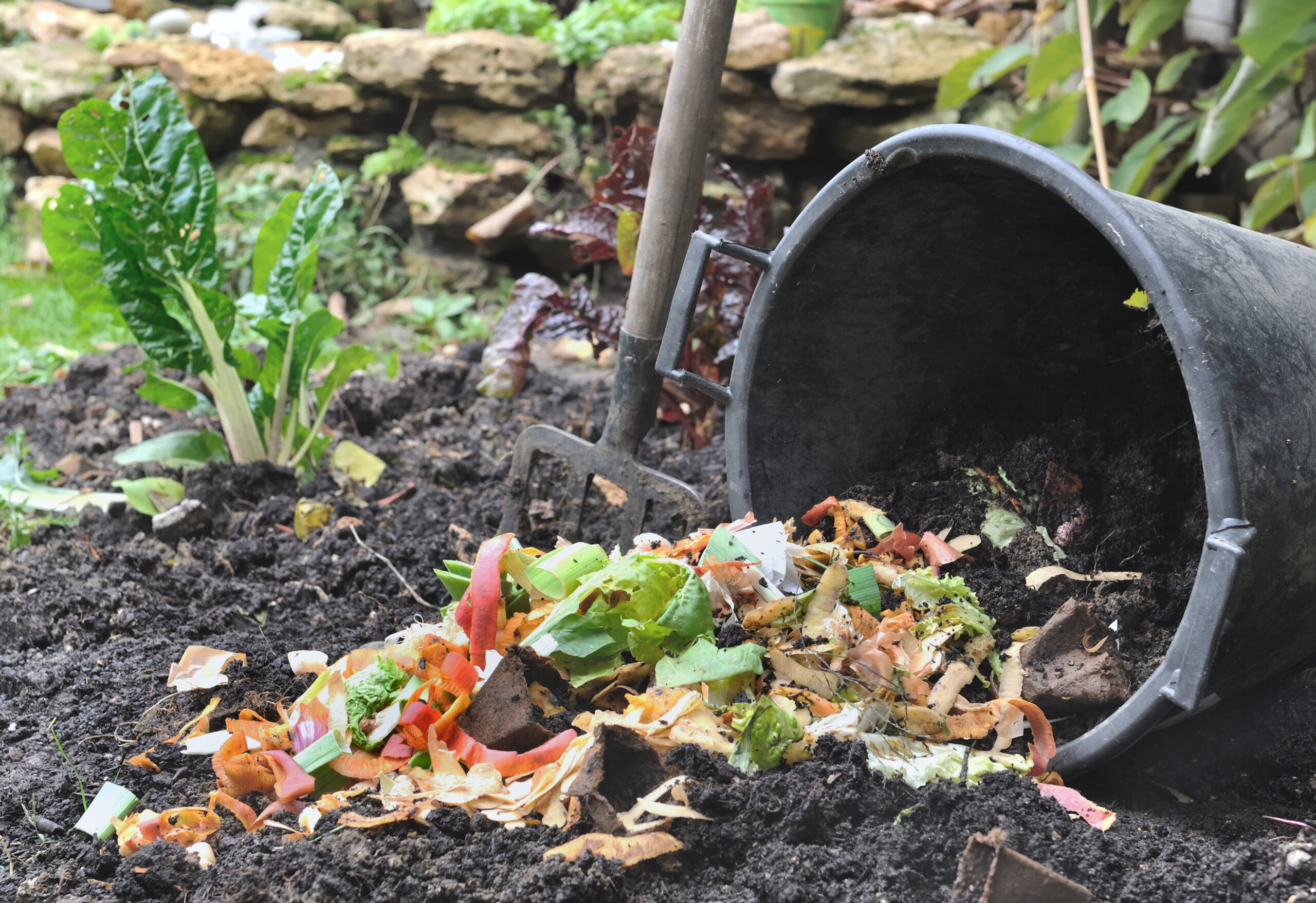 Compost Area Ideas That Actually Work in Real Backyards Like Mine