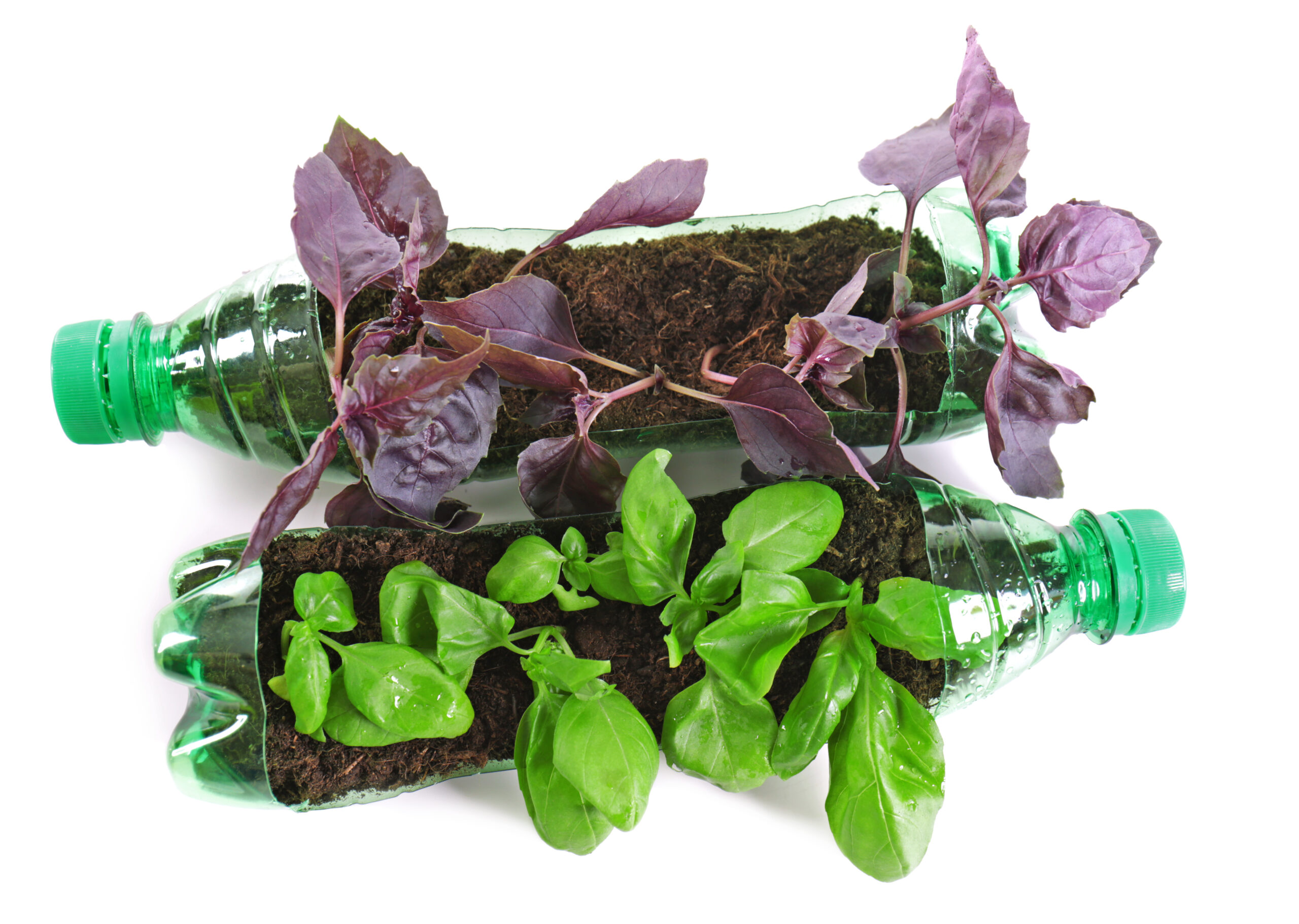 How I Make Compost in a Bottle: My Foolproof DIY Setup for Small Spaces
