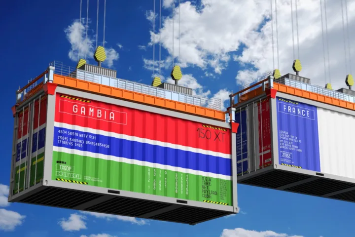 annual container combinations