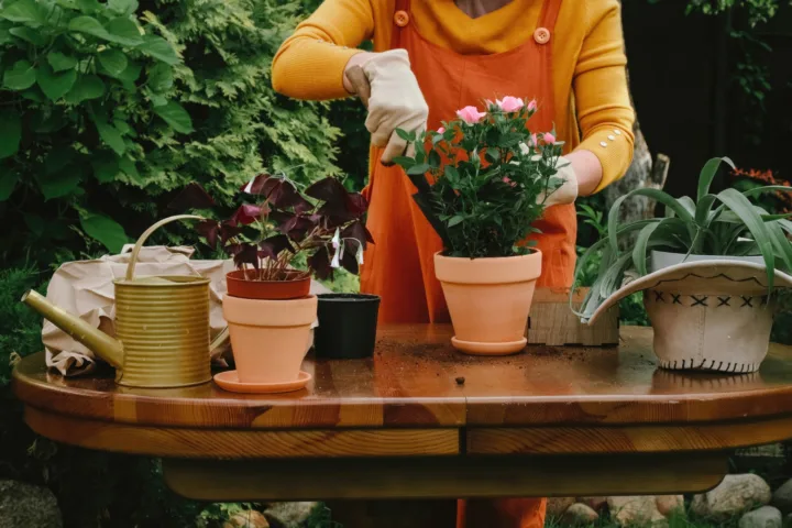 backyard container garden