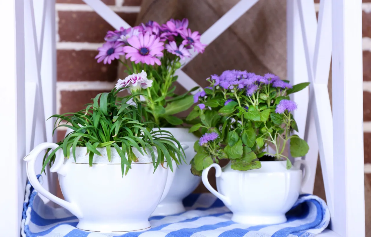 balcony container garden 2