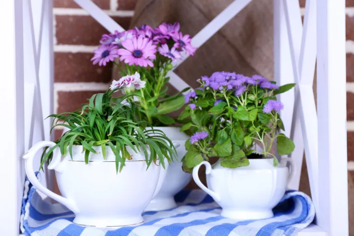 balcony container garden 2