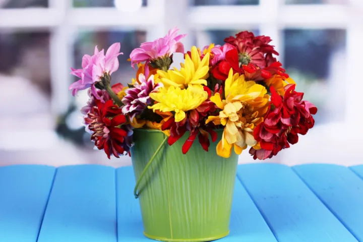 best container flowers