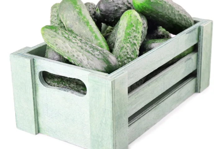 container cucumbers