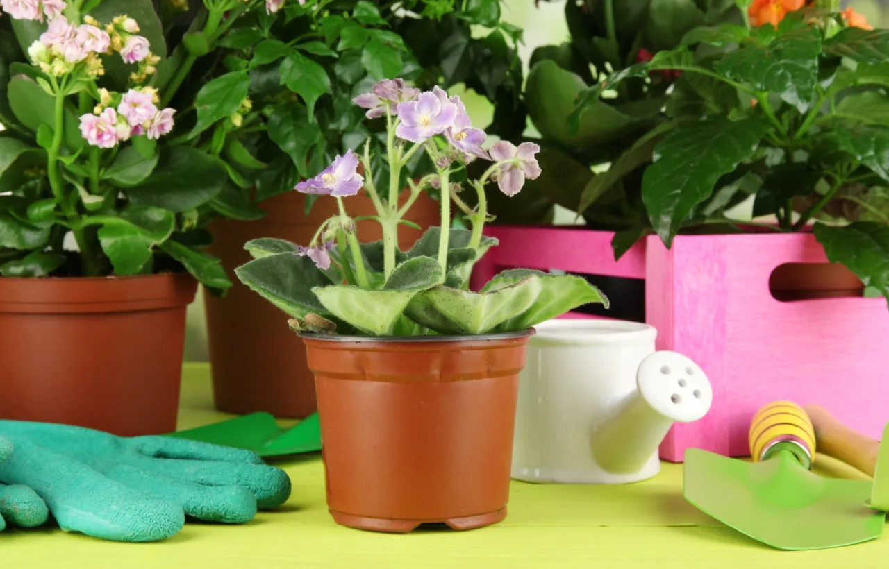 container fairy garden