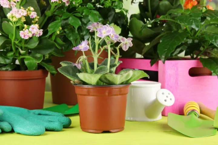 container fairy garden