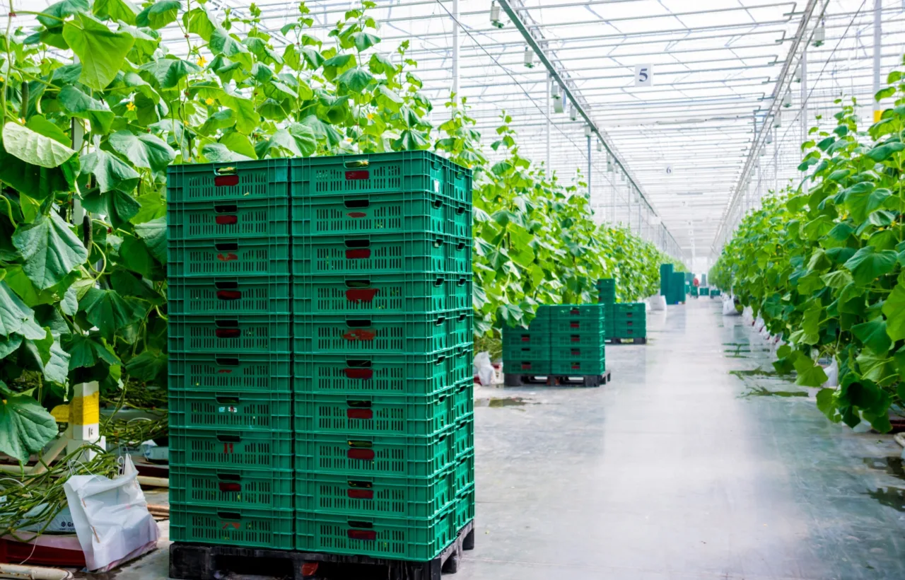 container farming