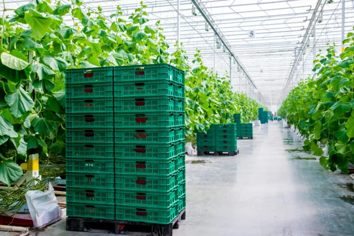 container farming