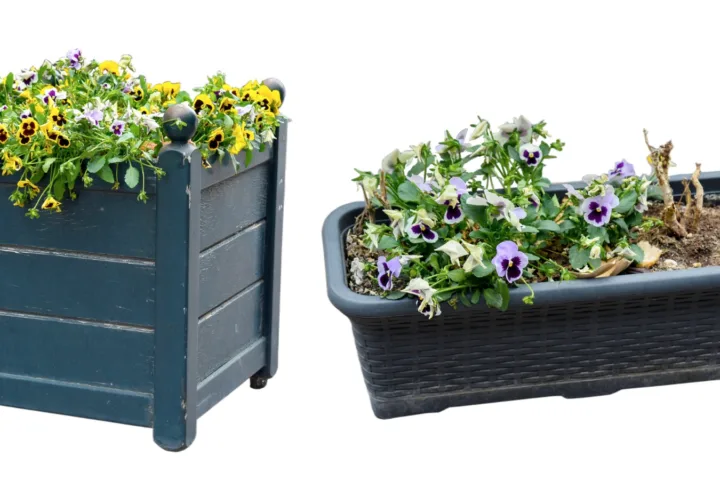 container flower garden ideas
