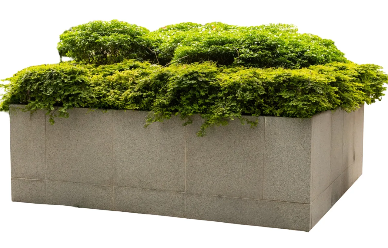 container garden design layout