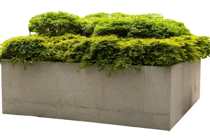 container garden design layout