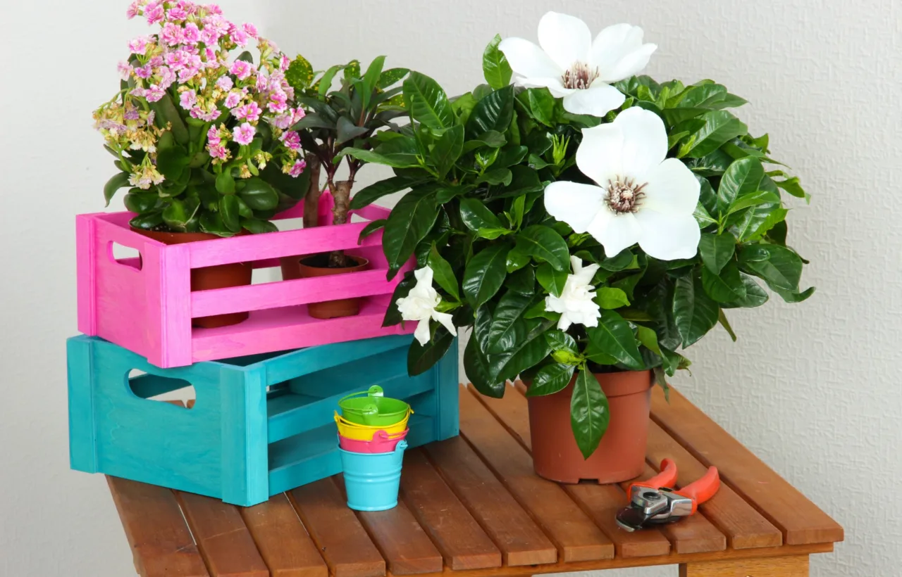 container garden ideas
