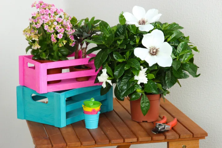 container garden ideas