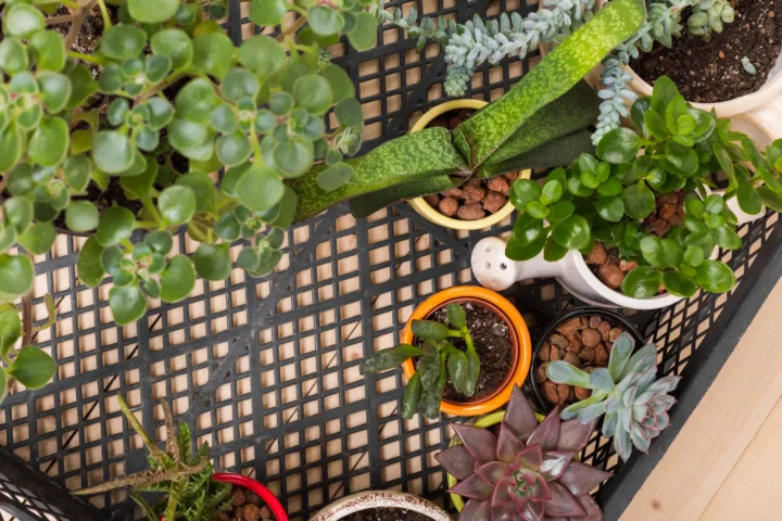 container garden layout
