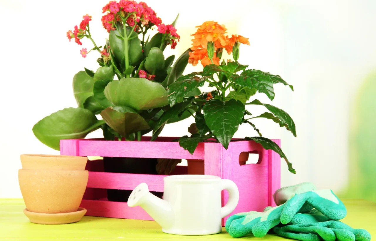 container gardening design