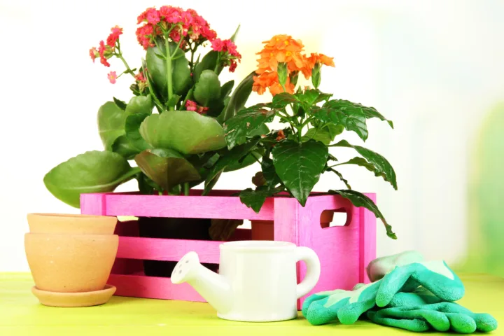 container gardening design