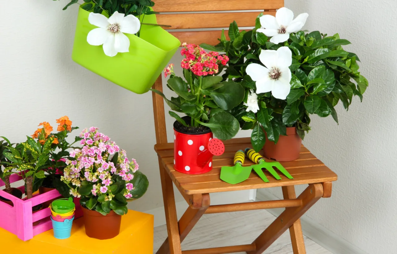 container gardening flowers combinations