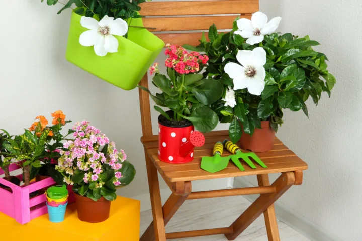 container gardening flowers combinations