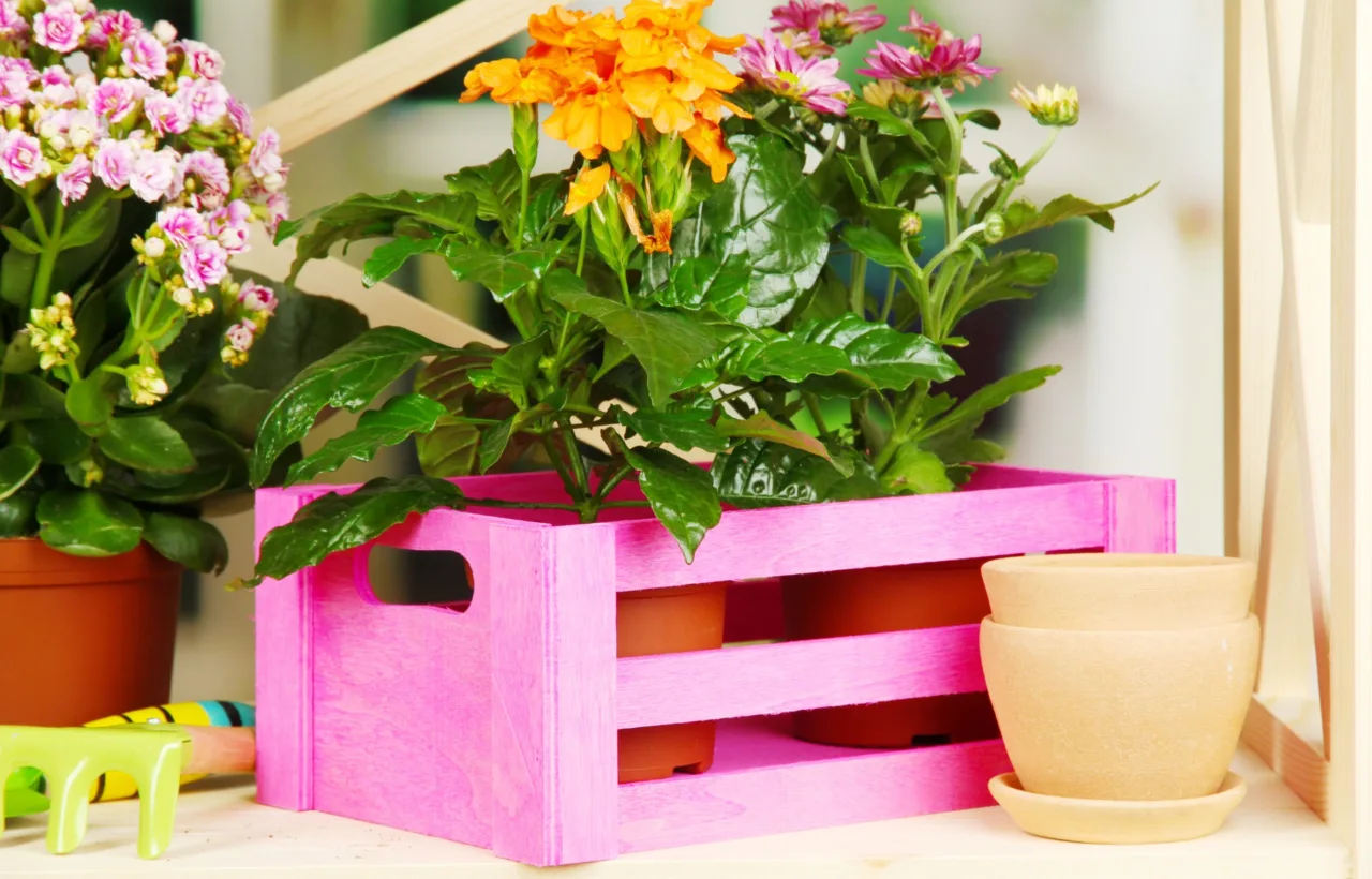 container gardening ideas