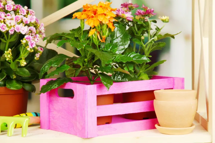 container gardening ideas