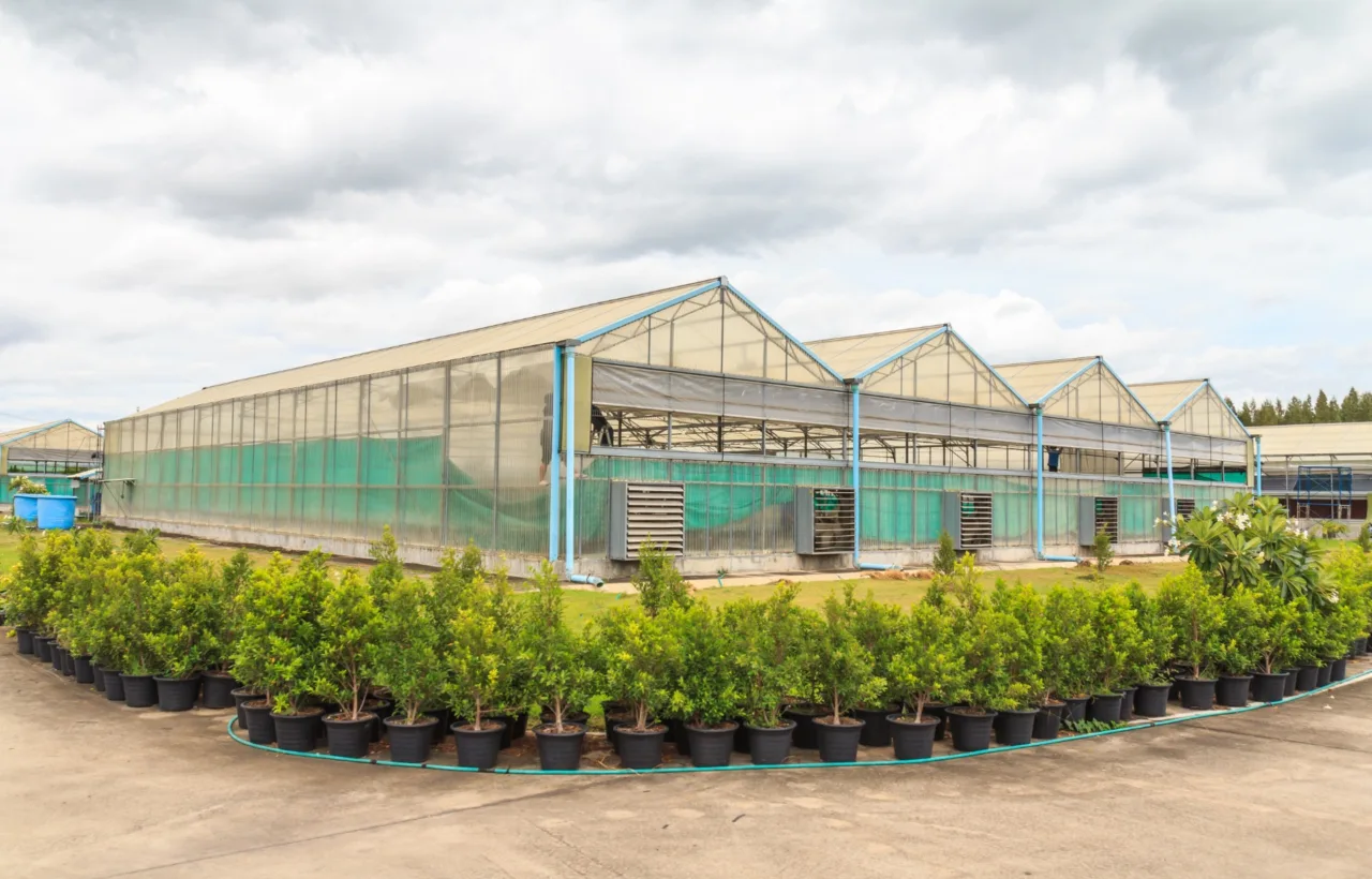 container greenhouse