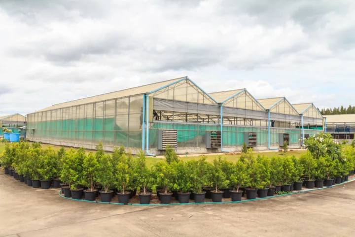 container greenhouse