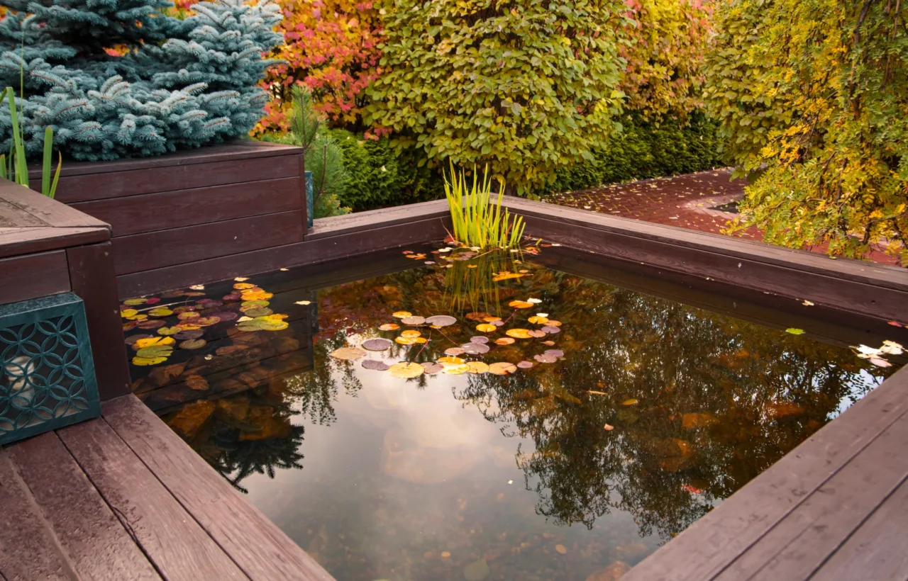 container pond