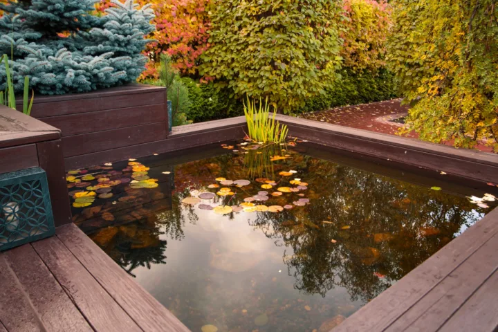 container pond