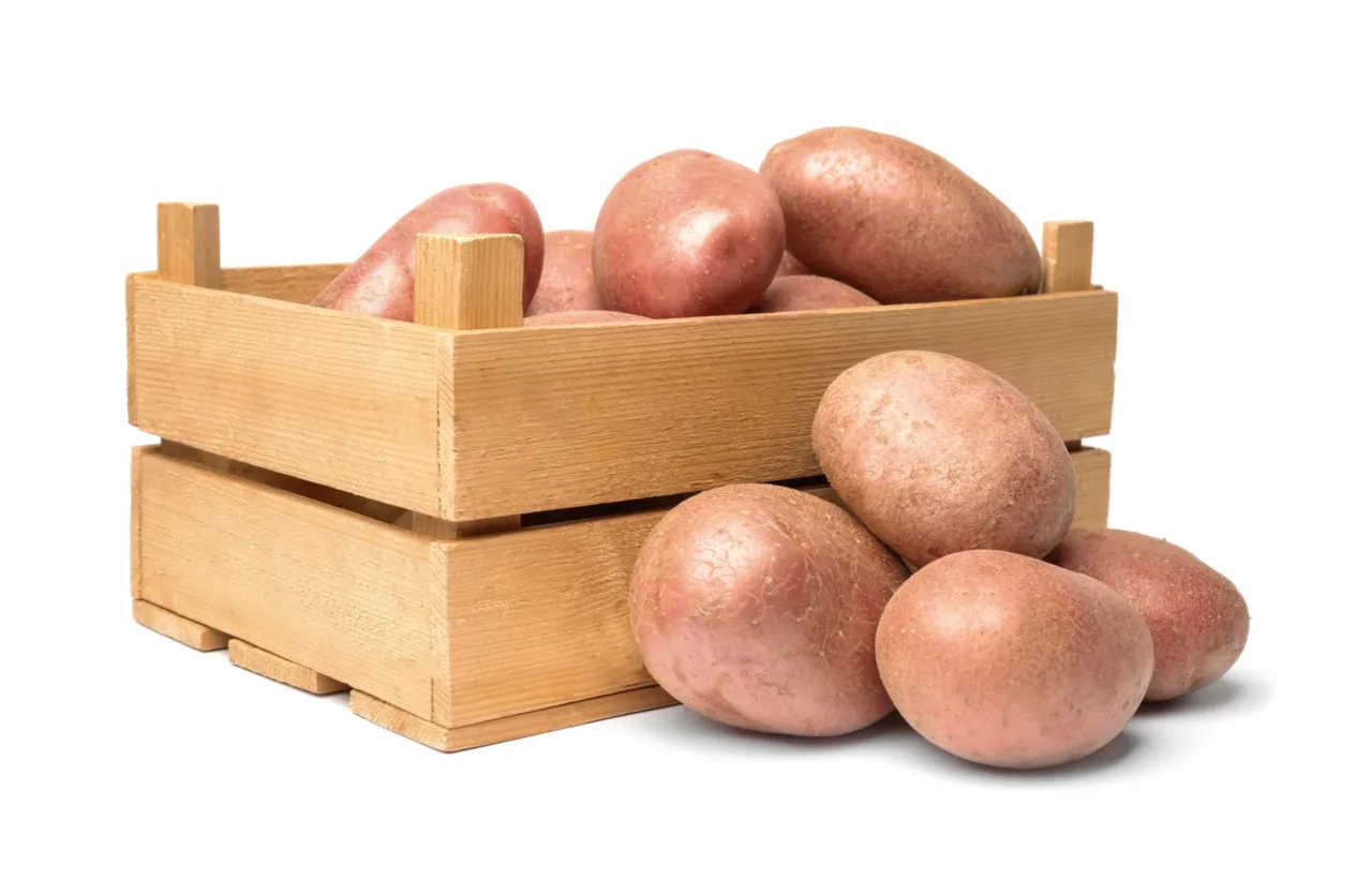 container potatoes