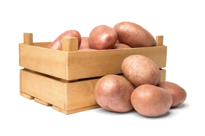 container potatoes