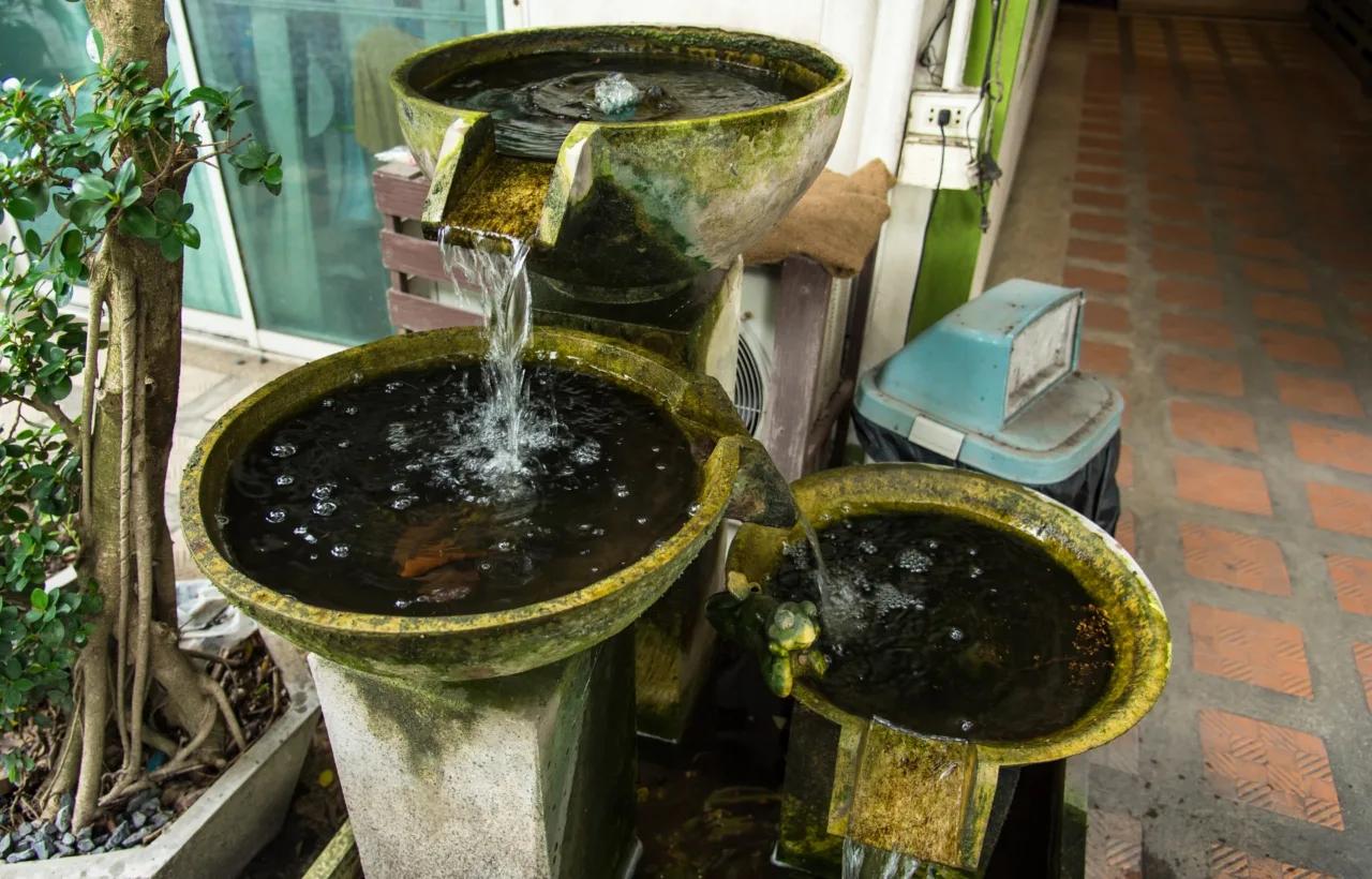 container water features