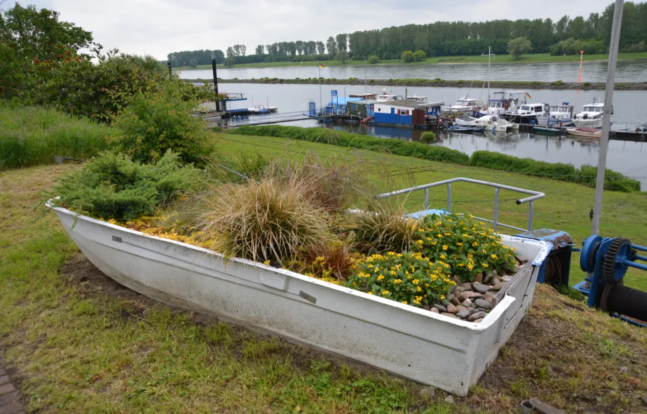 container water gardens