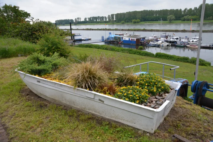 container water gardens