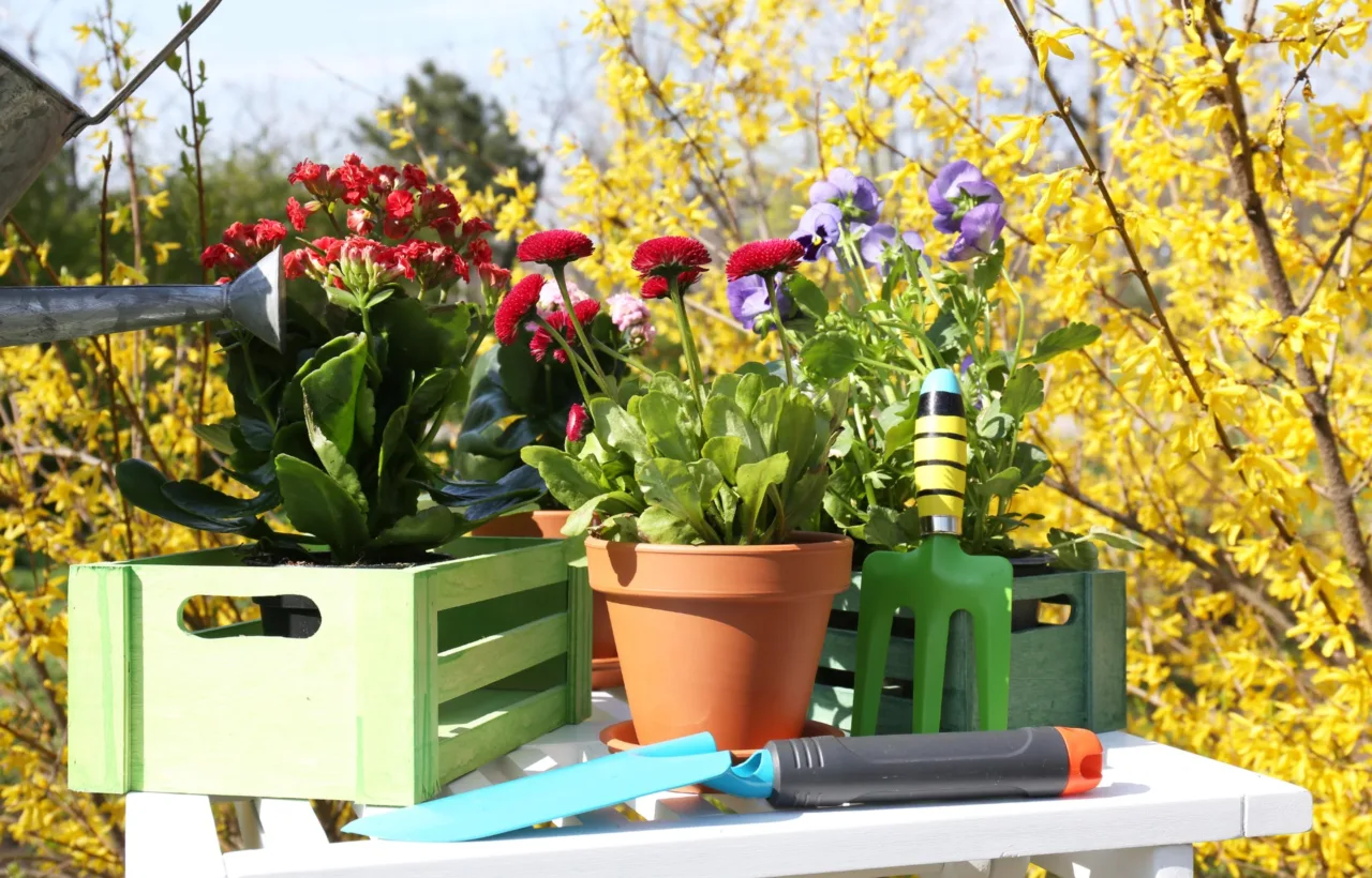 easy container garden