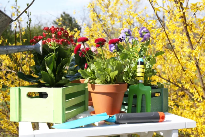 easy container garden