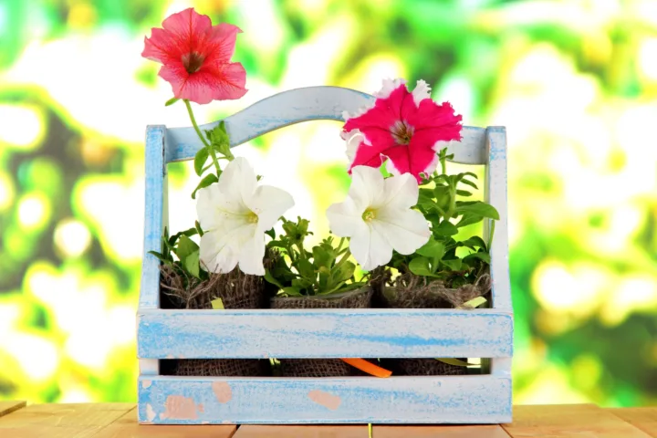 flower container ideas