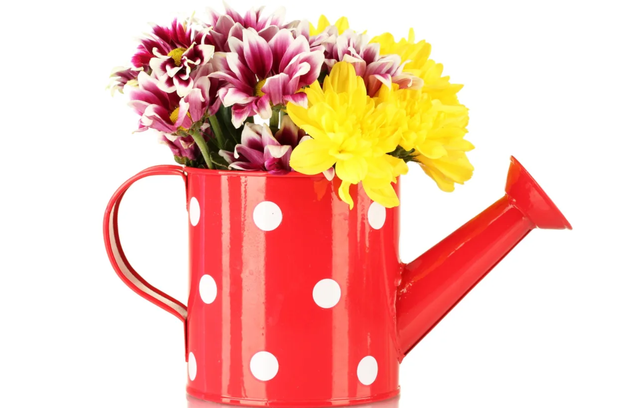flowers spilling out of container
