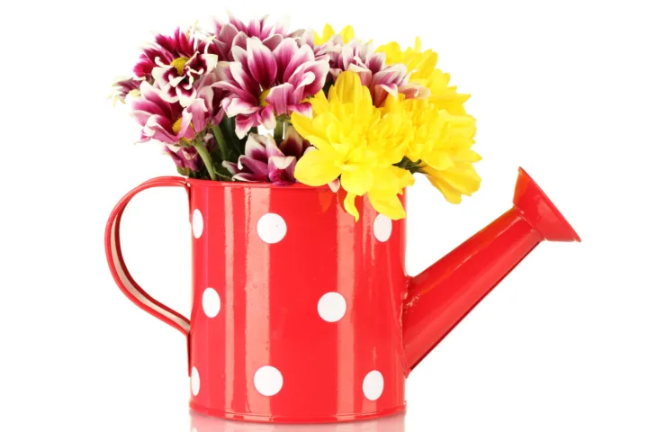 flowers spilling out of container