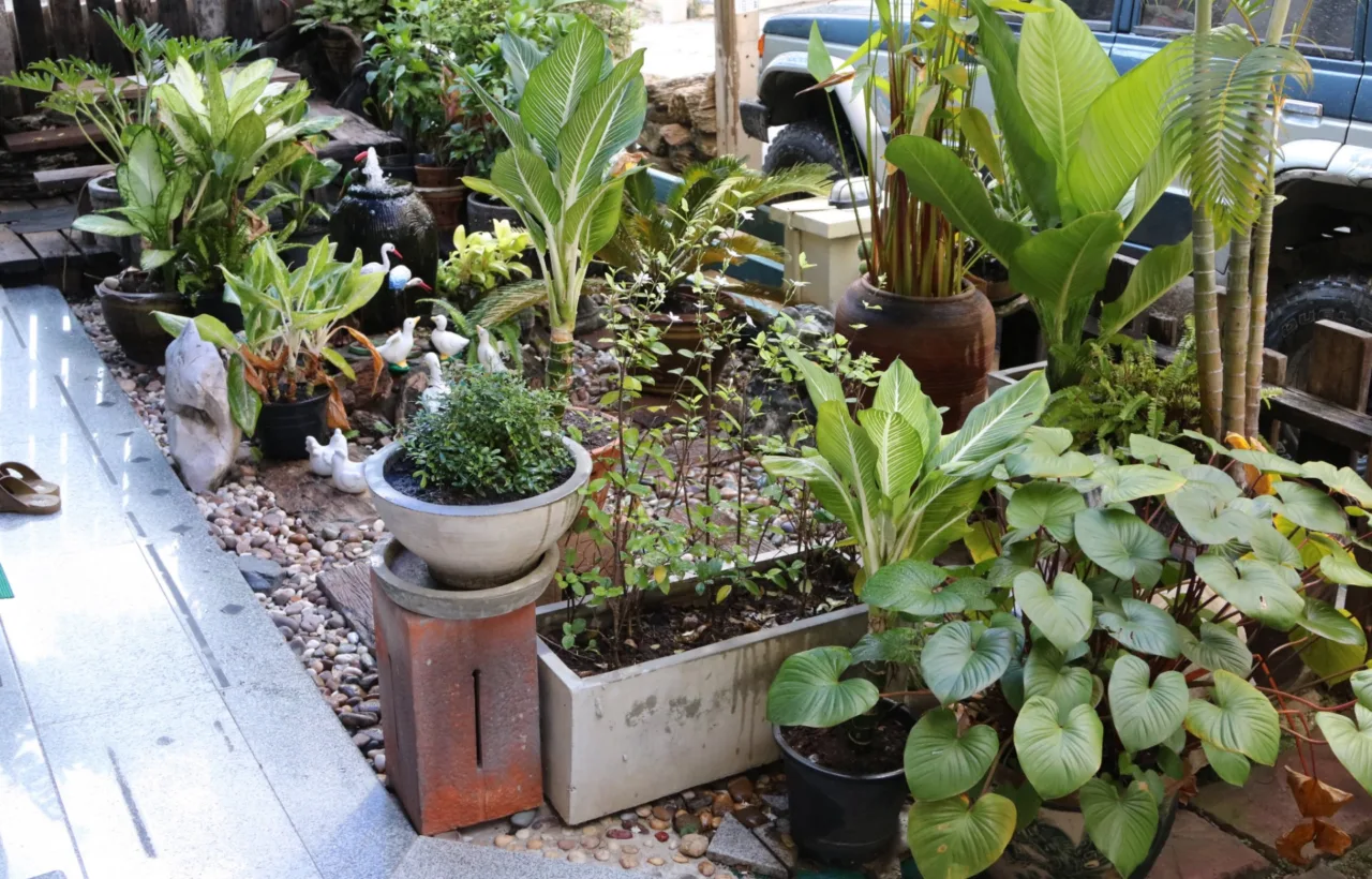 front yard container garden
